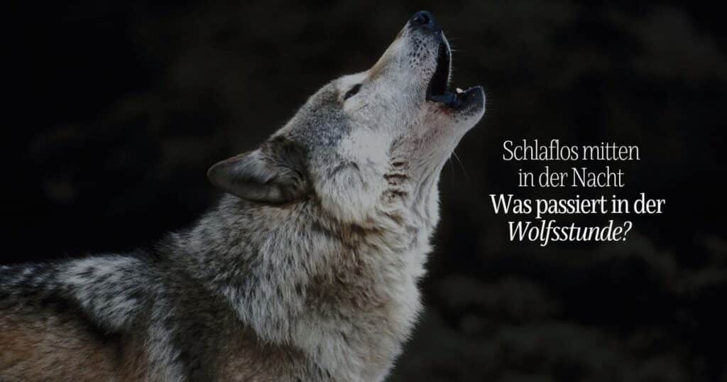 Heulender Wolf vor dunklem Hintergrund, daneben der Text: Schlaflos mitten in der Nacht. Was passiert in der Wolfsstunde?