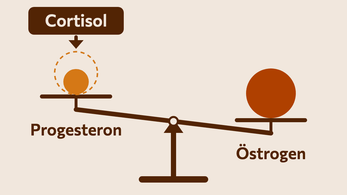 Grafik: Eine Waage. Cortisol drückt das Progesteron klein, die Seite mit dem Östrogen sinkt nach unten
